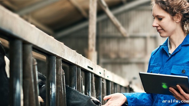 交流外转子轴流风机